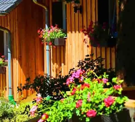 Hof Stallegg * لوفنغن