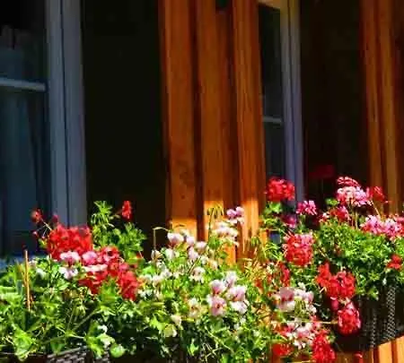 Hof Stallegg * لوفنغن