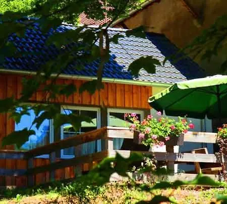 Hof Stallegg شقة لوفنغن