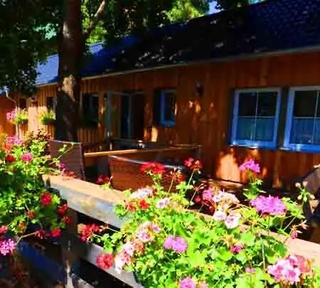 Hof Stallegg Apartamento *
